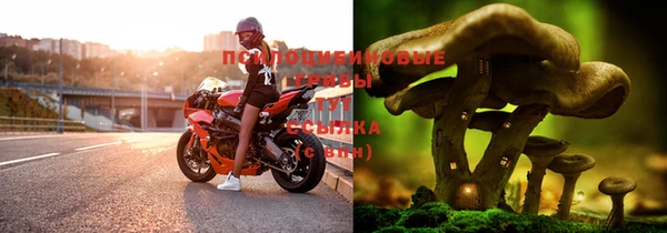 кокаин премиум Белокуриха